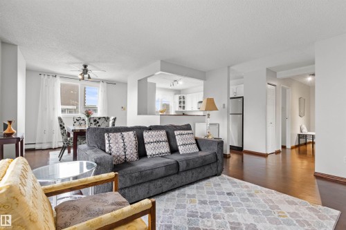602 9929 113 Street, Edmonton, AB - Indoor Photo Showing Living Room