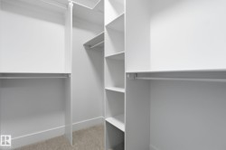 Walk in closet featuring light colored carpet - 