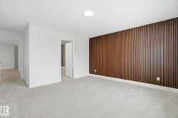 Carpeted spare room featuring an accent wall and wooden walls - 