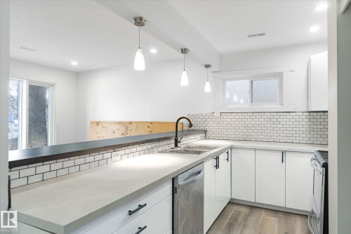 12034 37 Street, Edmonton, AB - Indoor Photo Showing Kitchen With Double Sink With Upgraded Kitchen
