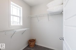 Walk in closet with dark colored carpet - 