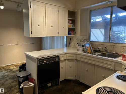 3721 103B Street, Edmonton, AB - Indoor Photo Showing Kitchen With Double Sink