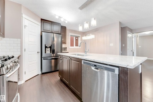 245 Ebbers Boulevard, Edmonton, AB - Indoor Photo Showing Kitchen With Upgraded Kitchen