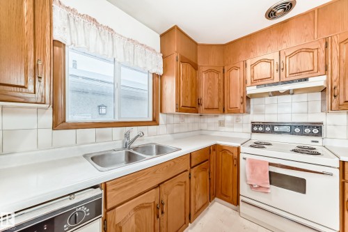 13116 128A Avenue, Edmonton, AB - Indoor Photo Showing Kitchen With Double Sink