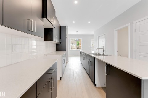 1027 Aster Boulevard, Edmonton, AB - Indoor Photo Showing Kitchen With Double Sink