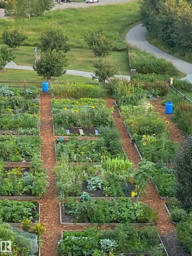 401 7471 May Common, Edmonton, AB - Outdoor