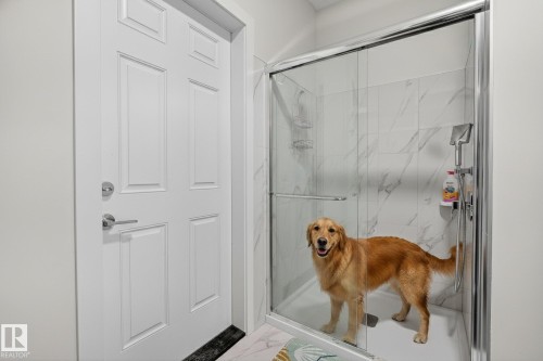 2017 Flycatcher Point(E), Edmonton, AB - Indoor Photo Showing Bathroom