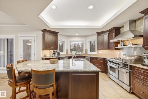 10309 Villa Avenue, Edmonton, AB - Indoor Photo Showing Kitchen With Upgraded Kitchen