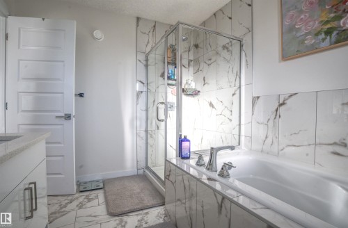 8904 217 Street, Edmonton, AB - Indoor Photo Showing Bathroom