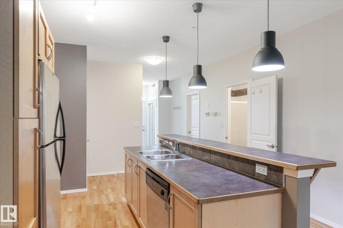 511 10503 98 Avenue, Edmonton, AB - Indoor Photo Showing Kitchen With Double Sink