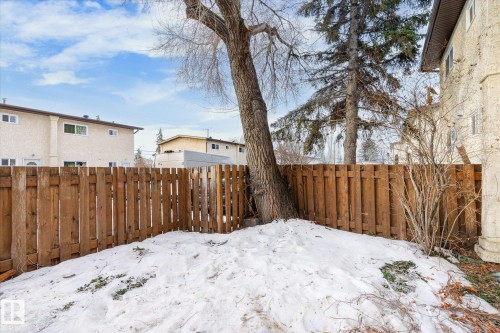 View of fenced backyard - 5105 106A Street, Edmonton, AB - Outdoor