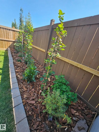 View of fenced backyard - 2098 Graydon Hill Crescent, Edmonton, AB - Outdoor