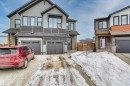 1727 Plum Crescent, Edmonton, AB  - Outdoor With Facade 