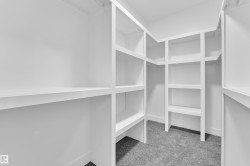 Walk in closet featuring light colored carpet - 