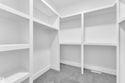 Walk in closet with light carpet - 