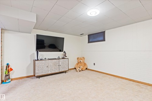 7923 178 Street, Edmonton, AB - Indoor Photo Showing Other Room