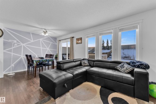 3722 9 Street, Edmonton, AB - Indoor Photo Showing Living Room