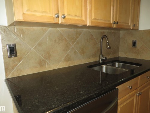 102 10547 83 Avenue, Edmonton, AB - Indoor Photo Showing Kitchen With Double Sink