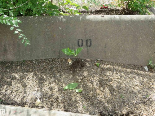 102 10547 83 Avenue, Edmonton, AB - Outdoor