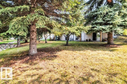 View of green lawn - 112 Haddow Close, Edmonton, AB - Outdoor