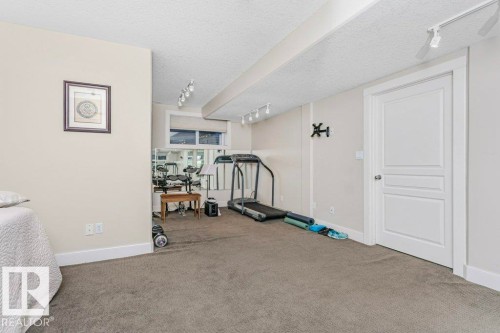 Workout area with rail lighting, a textured ceiling, and carpet flooring - 1579 Hector Road, Edmonton, AB - Indoor Photo Showing Gym Room