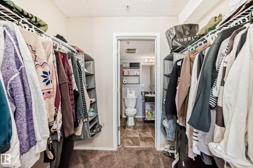 Walk in closet featuring dark colored carpet - 302 530 Watt Boulevard Sw, Edmonton, AB - Indoor With Storage