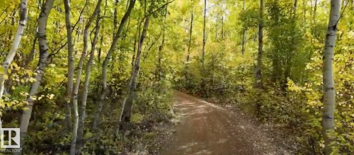 View of woods - 34 Ella Mae Crescent, Rural Athabasca County, AB -  With View