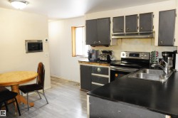 Kitchen featuring stainless steel appliances, light wood-style floors, exhaust hood, dark countertops, and dark cabinets - 