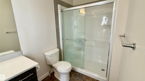903 Crystallina Nera Way, Edmonton, AB - Indoor Photo Showing Bathroom