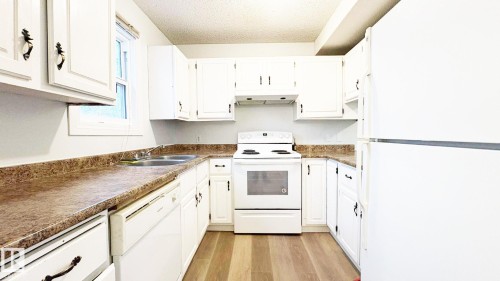 10427 24 Avenue, Edmonton, AB - Indoor Photo Showing Kitchen With Double Sink