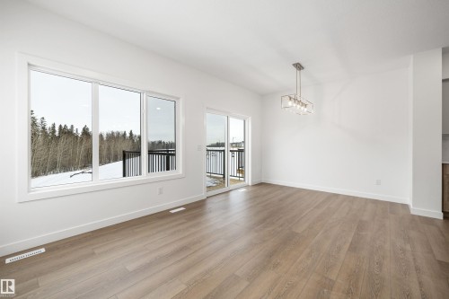 4188 Kinglet Drive, Edmonton, AB - Indoor With Fireplace