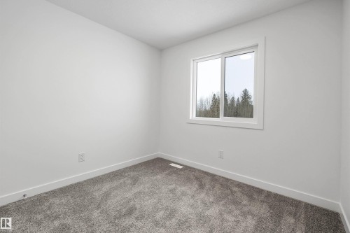4188 Kinglet Drive, Edmonton, AB - Indoor Photo Showing Other Room