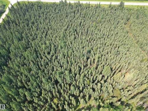 Hwy 16 & Range Rd 100, Rural Yellowhead, AB 