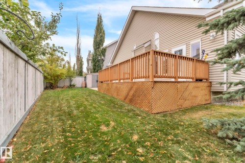 Fenced backyard with a shed and a wooden deck - loads of privacy on a corner lot! - 1217 Summerside Drive, Edmonton, AB - Outdoor