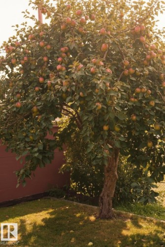 36 Sunset Blvd, St. Albert, AB - Outdoor