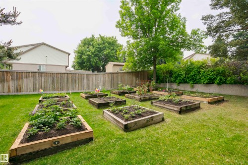 View of yard - 112 260 Sturgeon Road, St. Albert, AB - Outdoor With Backyard