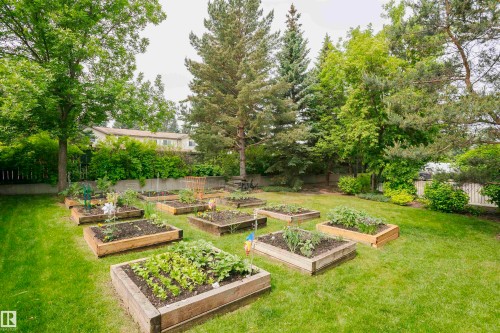 View of fenced backyard - 112 260 Sturgeon Road, St. Albert, AB - Outdoor With Backyard