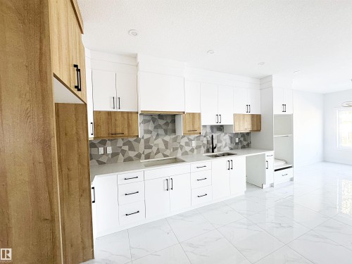 1314 35 Street, Edmonton, AB - Indoor Photo Showing Kitchen With Double Sink