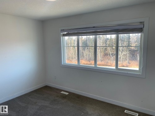 370 Edgemont Road, Edmonton, AB - Indoor Photo Showing Other Room