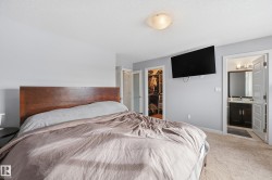 Bedroom featuring a spacious closet, carpet flooring, and connected bathroom - 