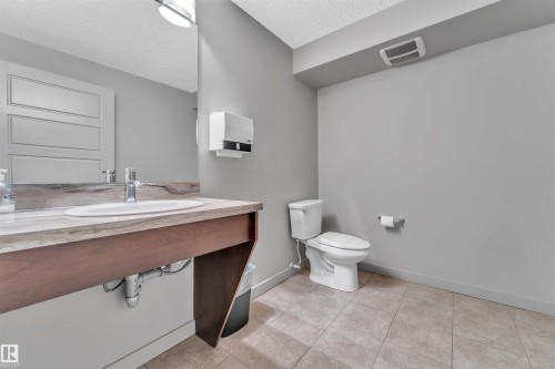 228 6076 Schonsee Way, Edmonton, AB - Indoor Photo Showing Bathroom