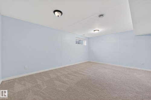 Below grade area with baseboards and carpet - 2338 Casselman Crescent, Edmonton, AB - Indoor Photo Showing Other Room