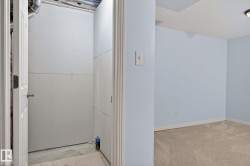 Laundry area with light carpet - 