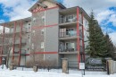 Snow covered property with a view of apartment building / complex - 411 1619 James Mowatt Trail, Edmonton, AB  - Outdoor With Facade 
