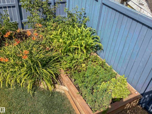 4042 37A Avenue, Edmonton, AB - Outdoor