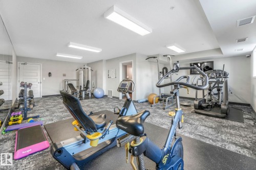 Common exercise room for building residents. - 419 396 Silverberry Road, Edmonton, AB - Indoor Photo Showing Gym Room