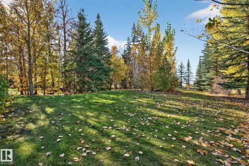 54 53305 Rge Road 273, Rural Parkland County, AB - Outdoor