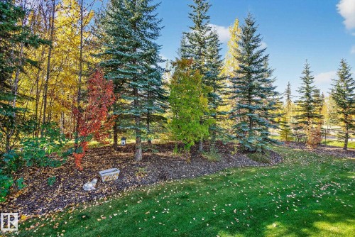 54 53305 Rge Road 273, Rural Parkland County, AB - Outdoor