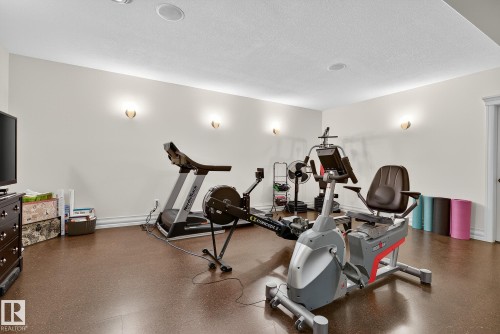 54 53305 Rge Road 273, Rural Parkland County, AB - Indoor Photo Showing Gym Room