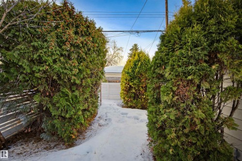 14503 80 Avenue, Edmonton, AB - Outdoor With View